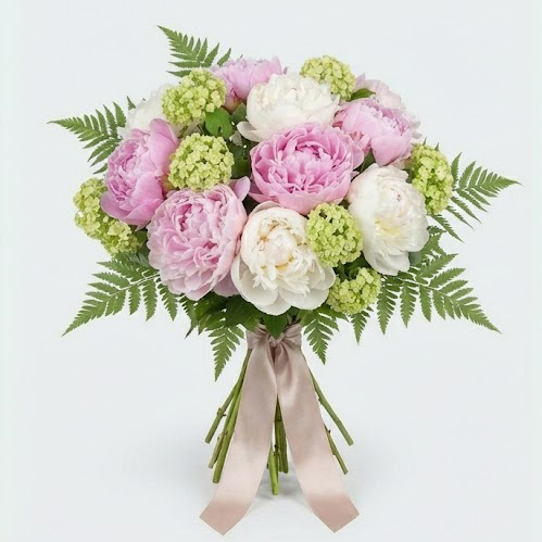 Blushing Peony Dream